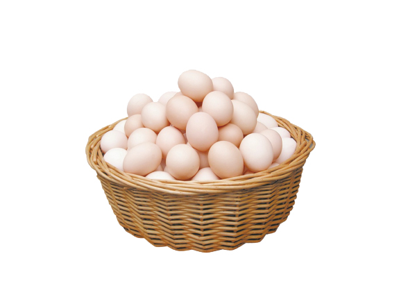 散養(yǎng)禽蛋