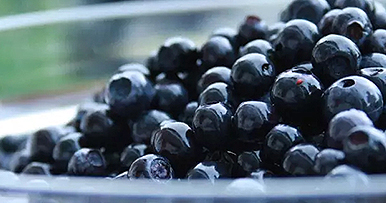 藍(lán)莓的清洗