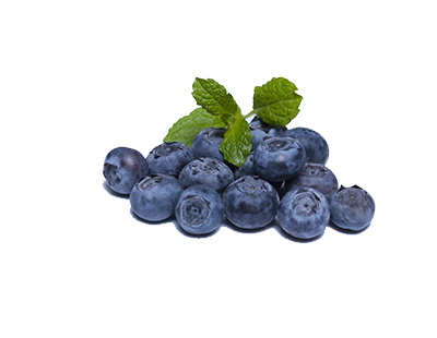 藍(lán)莓鮮果