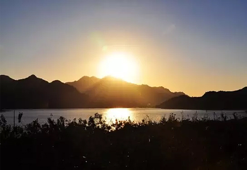 他與成功，只差一顆藍(lán)莓…