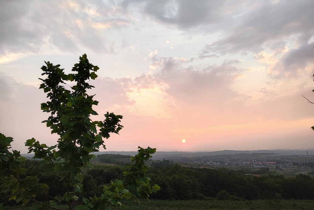 2019莊園美景賞析