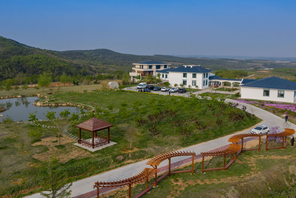 2019莊園美景賞析