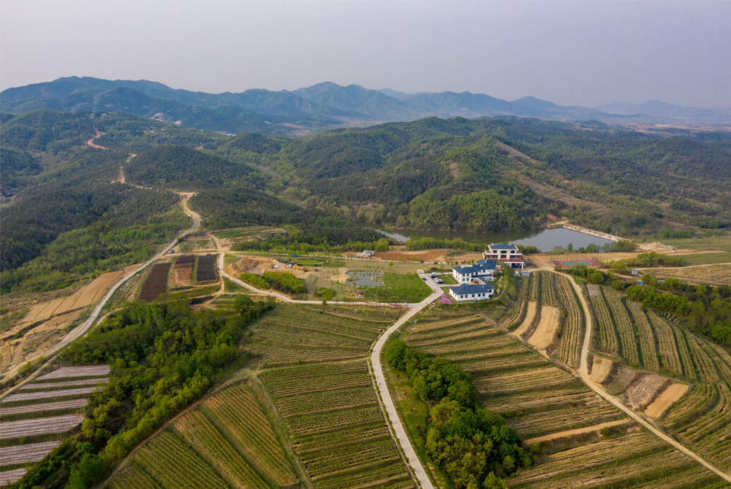 2019莊園美景賞析