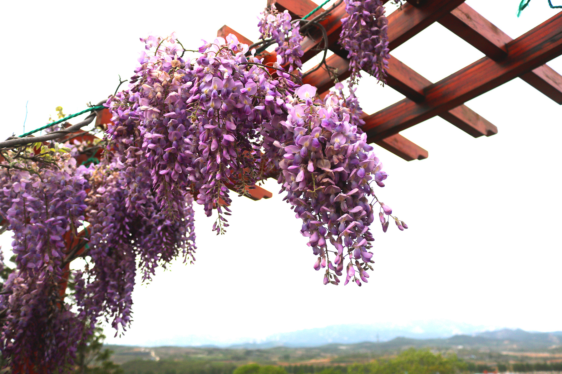 薄霧氤氳籠煙雨，青山深處一莊園