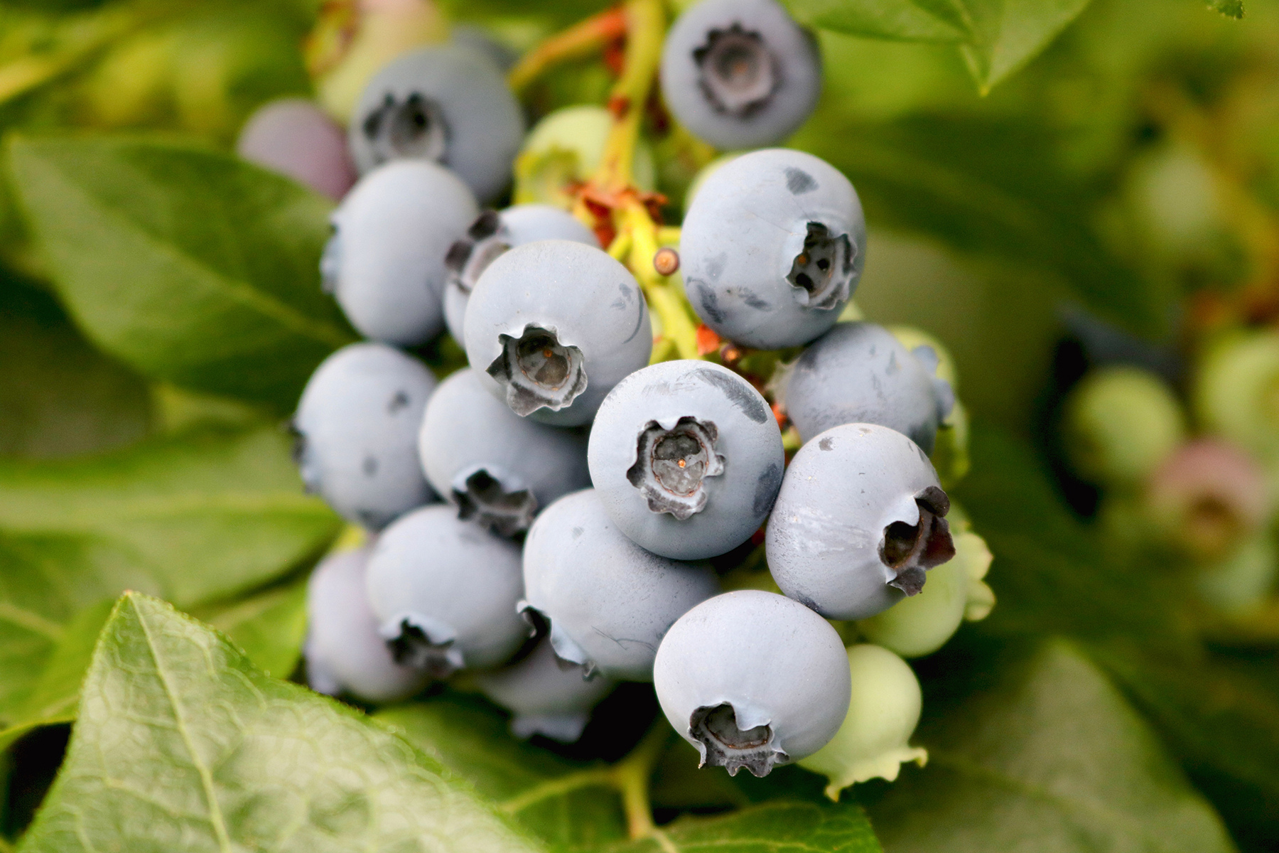 微信圖片_20200604092346_副本