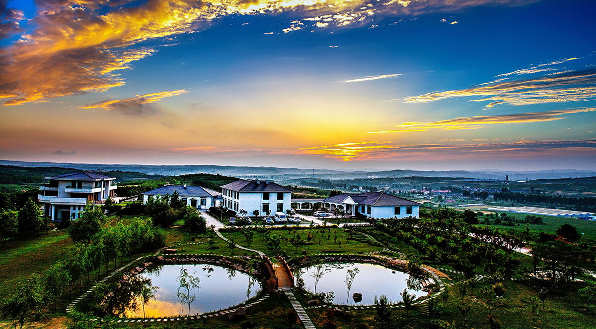 微信圖片_20200626144603_副本