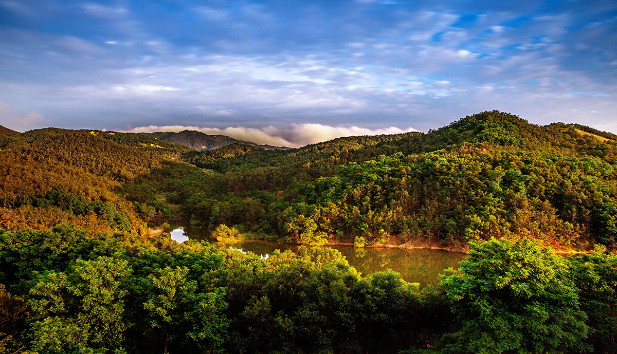 微信圖片_20200626144620_副本