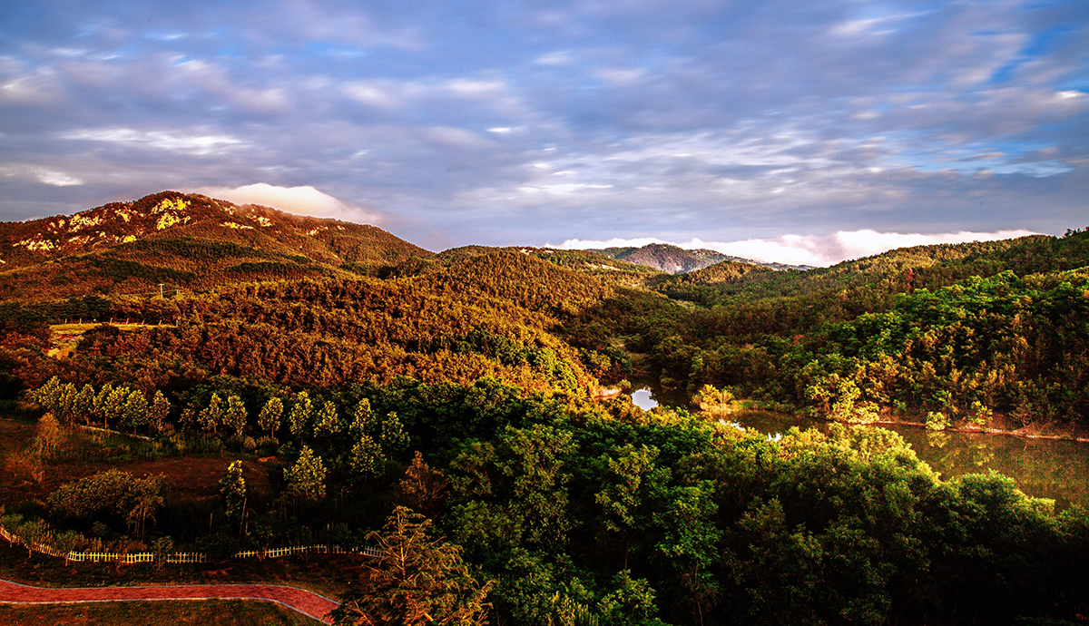 微信圖片_20200626144627_副本