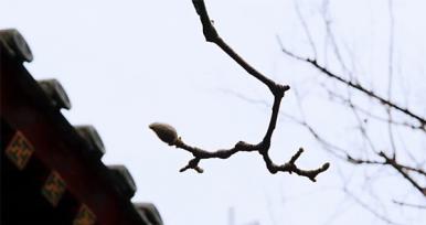 京璽健康俱樂(lè)部打卡活動(dòng)慶功會(huì)在京舉辦！