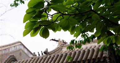 手機(jī)也能拍大片？北京這座四合院里，驚喜正在發(fā)生！