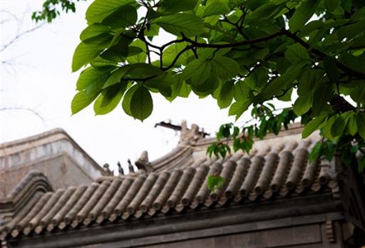 手機(jī)也能拍大片？北京這座四合院里，驚喜正在發(fā)生！