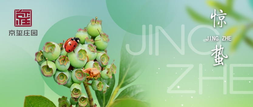 驚蟄 | 人間務(wù)生事，耕種滿田疇